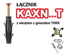 Kołek Wkręcany KAXN 8x40/80 T/T TORX 100 szt.